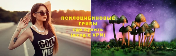 гидра Армянск
