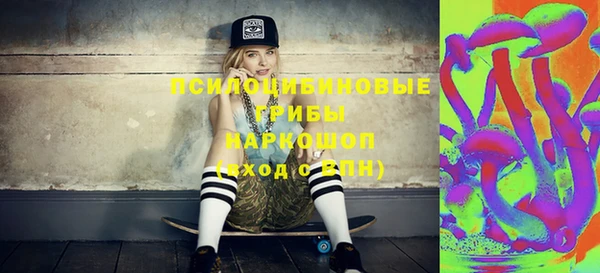 гидра Армянск