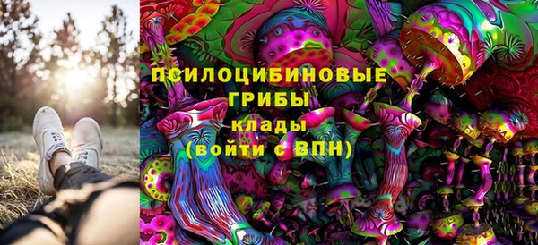 гидра Армянск