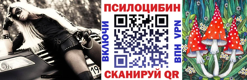 Псилоцибиновые грибы MAGIC MUSHROOMS  где купить наркотик  hydra маркетплейс  Козьмодемьянск 